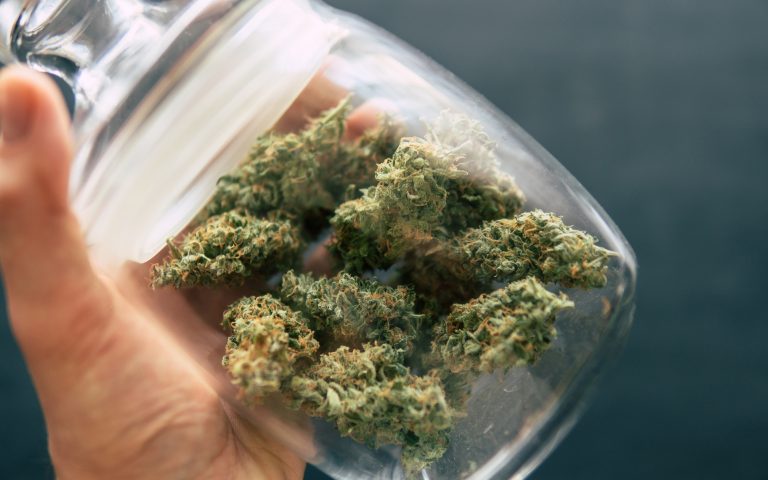 Hybrid Cannabis Strains Online