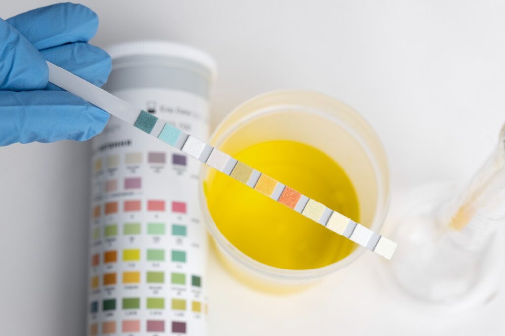 Synthetic urine kits
